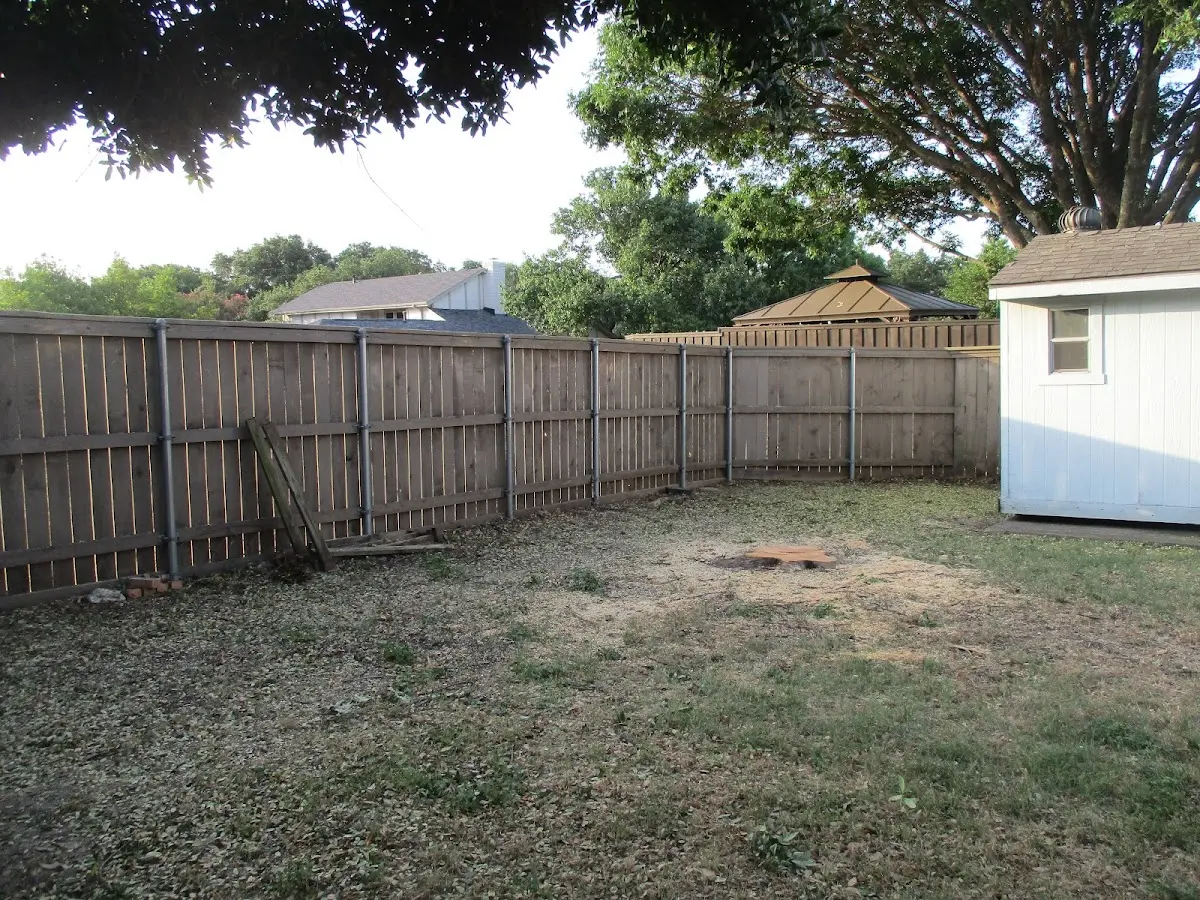 Cleared yard after professional tree removal in Canaan